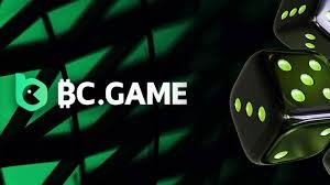 BC Game Payment Options BC Game Payment Options
