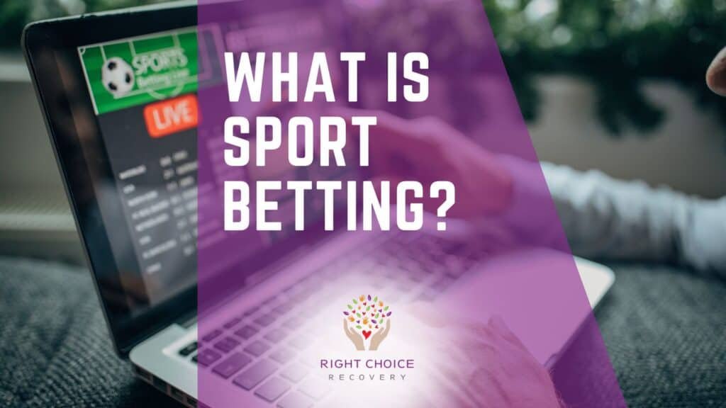 Discover a Secure Gambling Experience for a Safer Gaming Environment Discover a Secure Gambling Experience for a Safer Gaming Environment