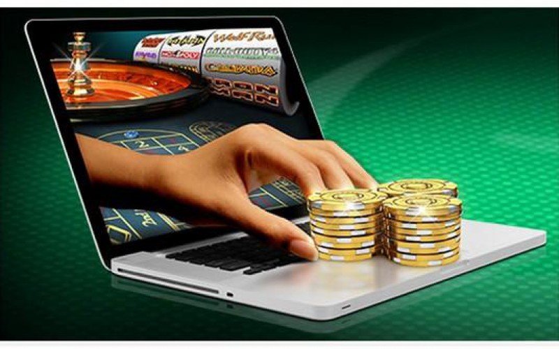 Exploring the World of Hexabet Your Guide to Online Gaming