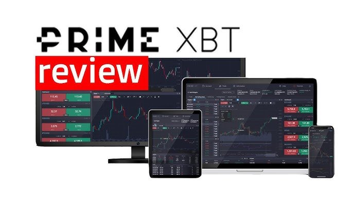 PrimeXBT vs Pocket Option Which Trading Platform is Right for You